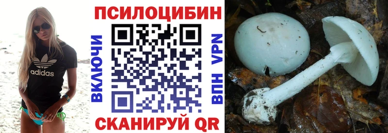 хочу наркоту  мега сайт  Галлюциногенные грибы Magic Shrooms  Электросталь 